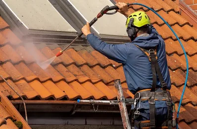 Démoussage et hydrofuge de toiture à Curbigny